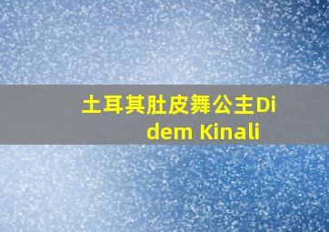 土耳其肚皮舞公主Didem Kinali